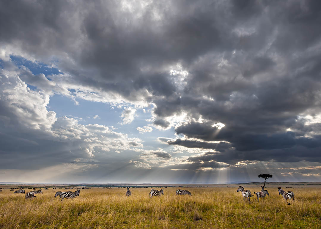 Maasai Mara Skies — Weather over the plain